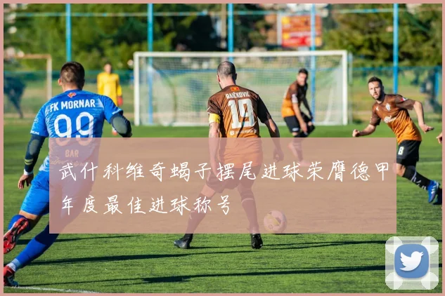 武什科维奇蝎子摆尾进球荣膺德甲年度最佳进球称号