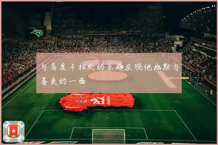 与乌度卡相处的乐趣发现他幽默与善良的一面