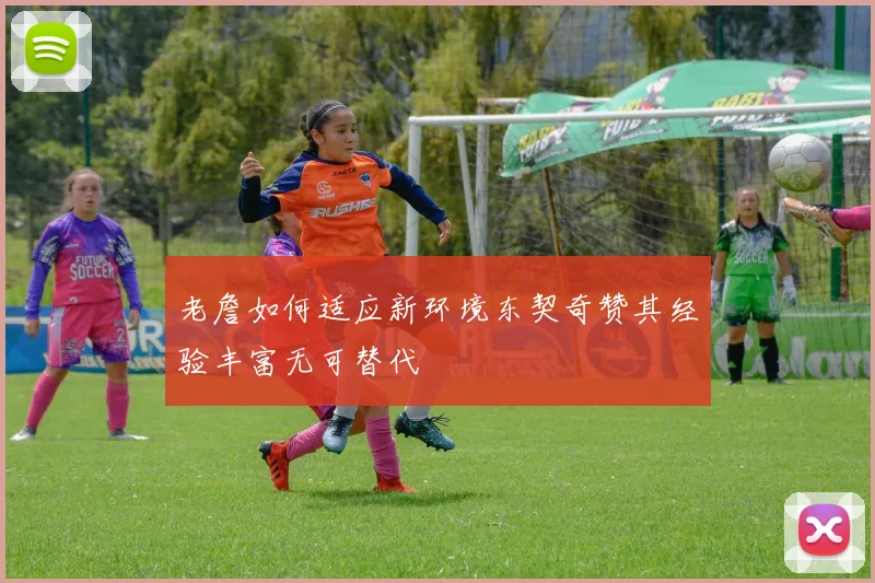 老詹如何适应新环境东契奇赞其经验丰富无可替代