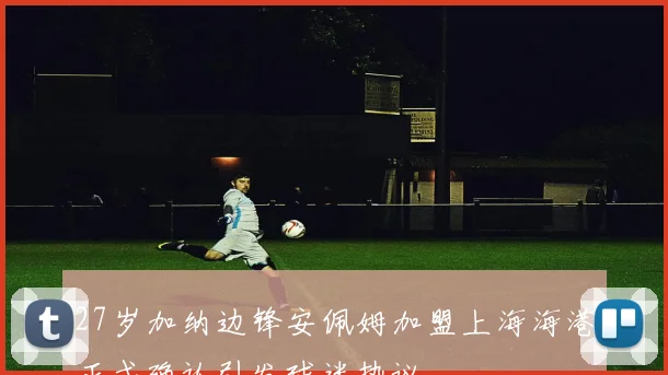 27岁加纳边锋安佩姆加盟上海海港正式确认引发球迷热议