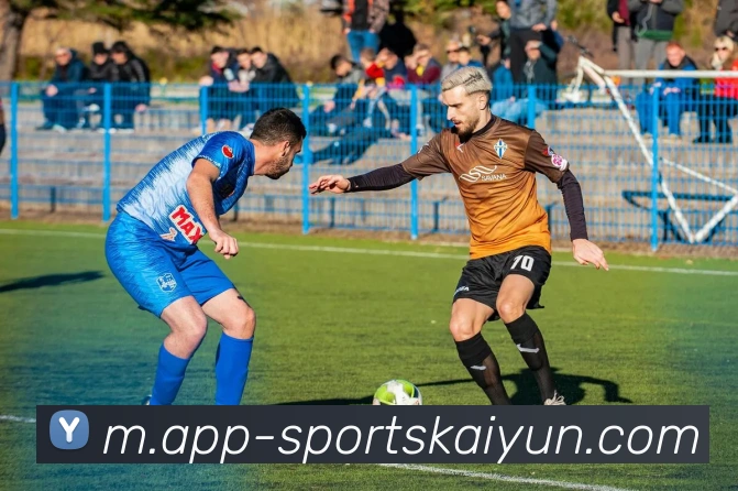 开云体育服务体系